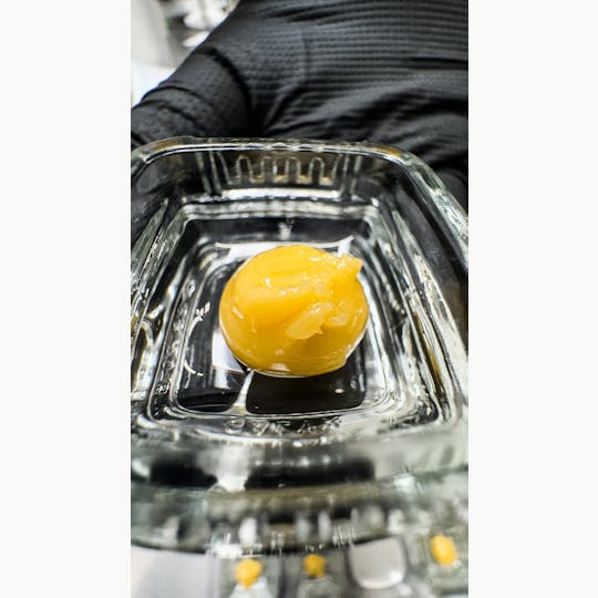 ABCDE Brands - Zlurpee Live Resin Badder - 1