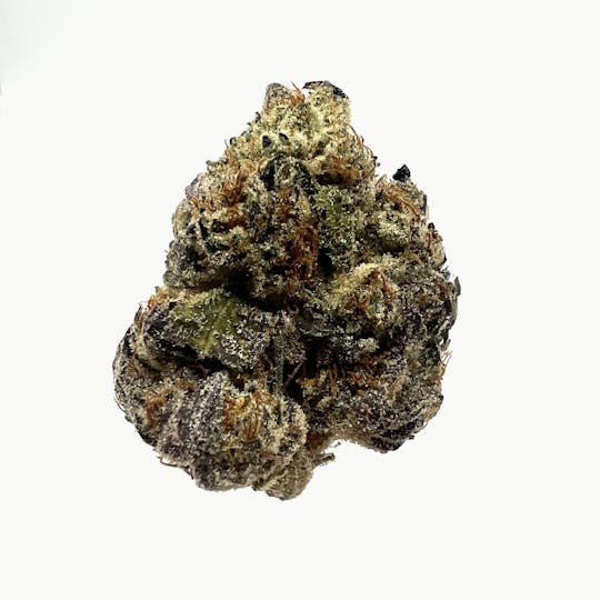 Northeast Alliance - Glazed Apricot Gelato ($65 Half/$120 OZ) - 1