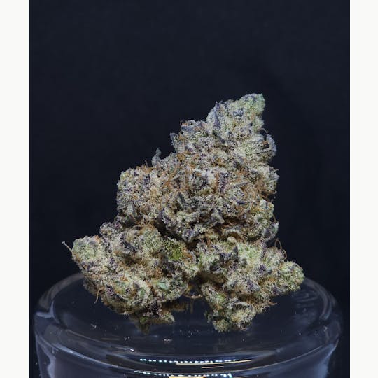 BAM Alaska - Hash Burger .5g - 20 Pack - 1