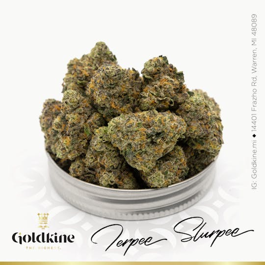 Goldkine - Goldkine Flower "Bigs" | Turpee Slurpee - 1
