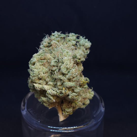 BAM Alaska - Phat N' Nasty .5g - 5 Pack - 1