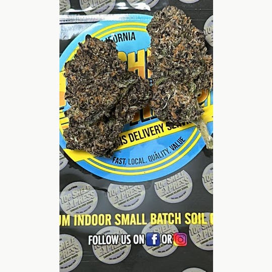 Top Shelf Express - Purple Tangie Premium Oz (28g) - 1