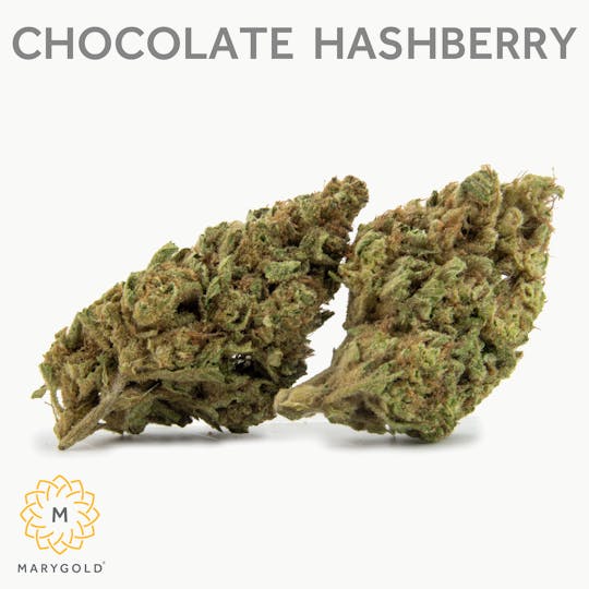 Marygold - Chocolate Hashberry 3.5g (30% THC Hybrid) - 1