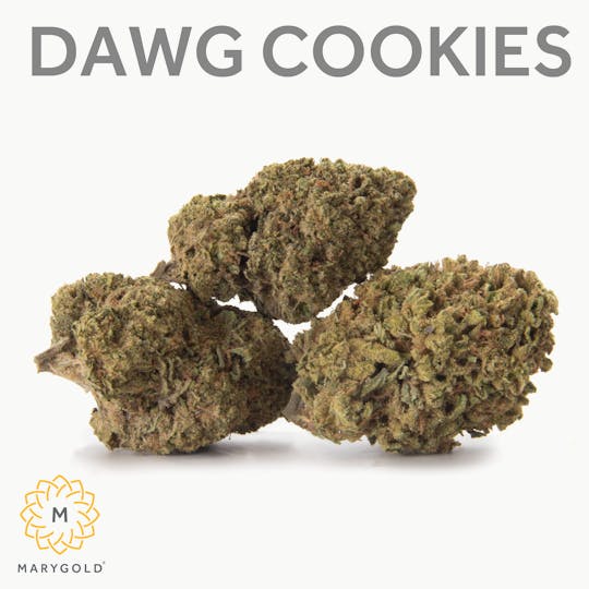 Marygold - Dawg Cookies 14g (28% THC Hybrid) - 1