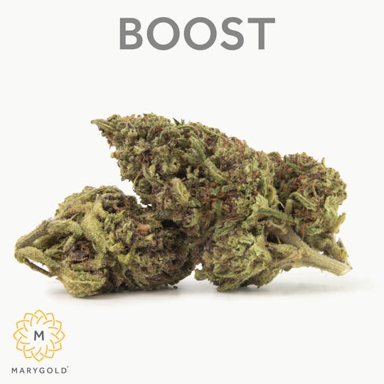 Marygold - Boost 3.5g (22% THC Hybrid) - 1