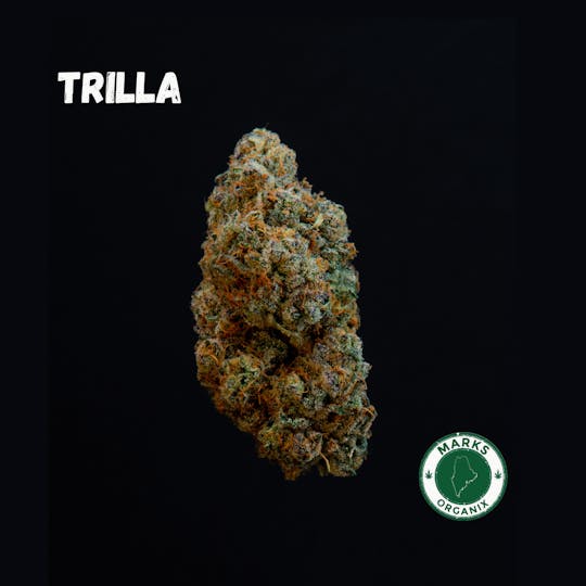 Marks Organix - Trilla - 1