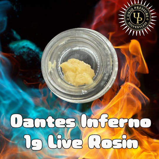 Uniq Pressure - Dantes Inferno - Persy Rosin 1g - 1