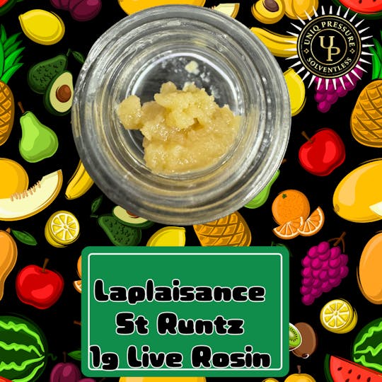 Uniq Pressure - Laplaisance St. Runtz - Tier 2 Rosin 1g - 1