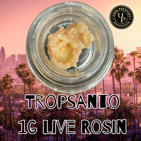 Uniq Pressure - Tropsanto - Persy Rosin 1g - 1