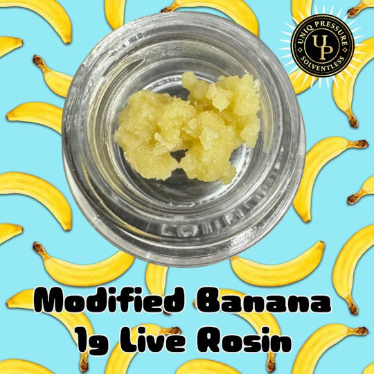 Uniq Pressure - Modified Banana - Tier 2 Rosin 1g - 1