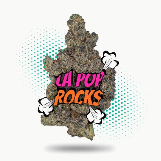 Frostiez - La Pop Rockz - Topshelf Indoor - New Drop - Hybrid - 1