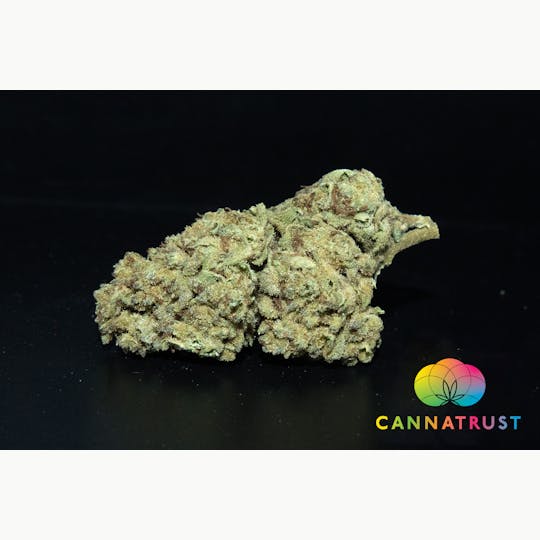 Trusty Transportations - Berries n Cream 1/2Ounce/14Grams(30%THC, Indica) - 1