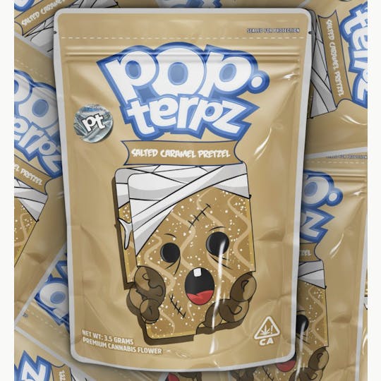 Planet Buds Brand - Salted Caramel Pretzel 3.5G Pop Terpz - 1
