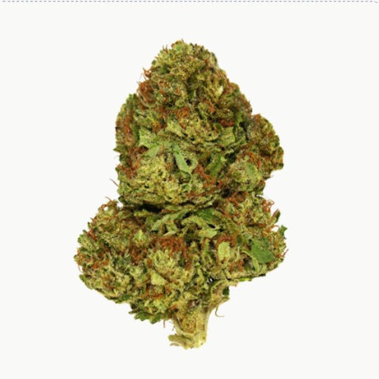 Smoakland - Exclusive - Pineapple Express (H) - 28g - 1