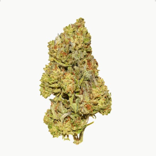 Smoakland - Black - GSC (H) - 14g - 1