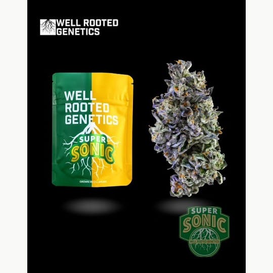 Well Rooted Genetics - Super Sonic - 1