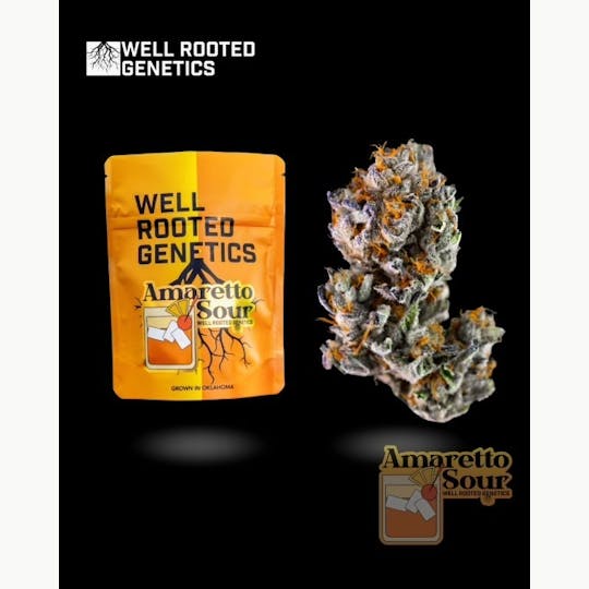 Well Rooted Genetics - Amaretto Sour - 1