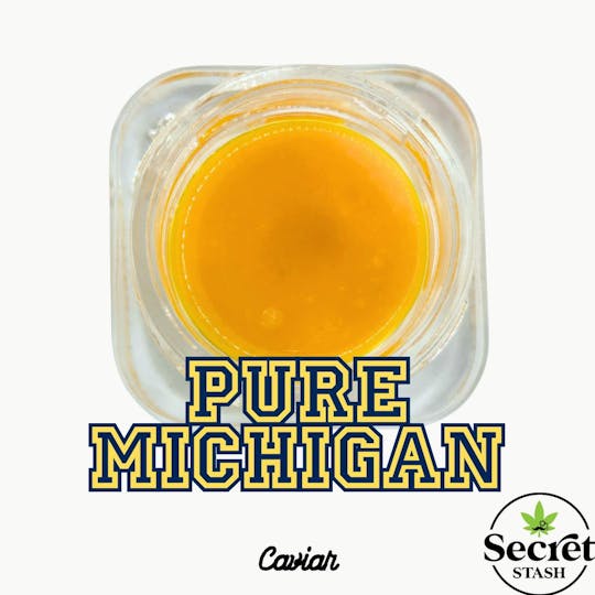 Secret Stash - Secret Stash | Caviar | Pure Michigan | 1g - 1