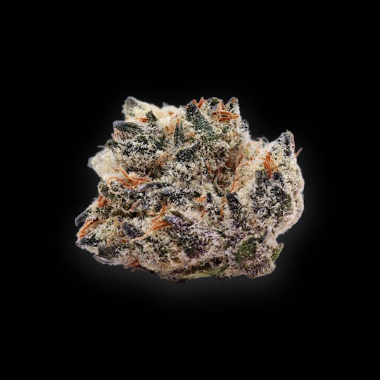 Auraz - Caleta Flower | Black A5 Piff - 1