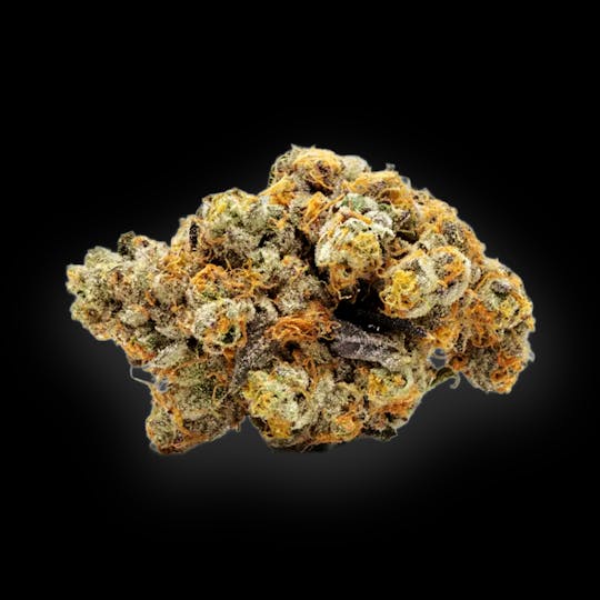 Auraz - Caleta Flower | Strawnana - 1