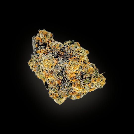 Auraz - Premium Flower | Cherry Lime Runtz - 1