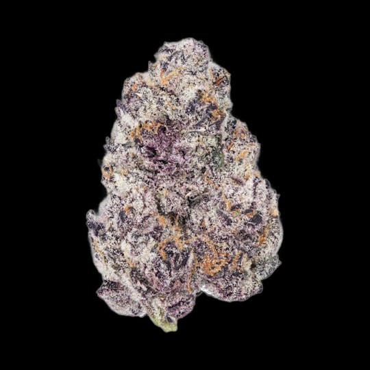 Auraz - Caleta Flower | Super Boof - 1