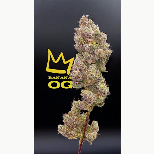 Green Dynasty - Banana OG Exotic Flower Flower - 1