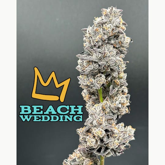 Green Dynasty - Beach Wedding Exotic Flower Flower - 1