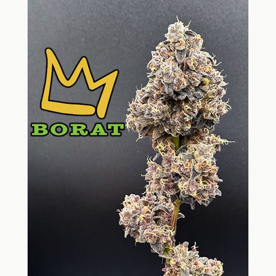 Green Dynasty - BORAT Exotic Flower Flower - 1