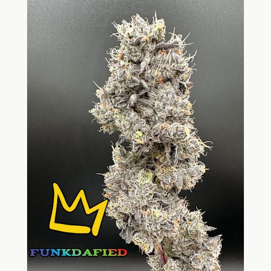 Green Dynasty - Funkdafied Exotic Flower Flower - 1