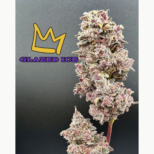 Green Dynasty - Glazed Ice Exotic Flower Flower - 1