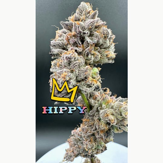 Green Dynasty - Hippy Exotic Flower Flower - 1