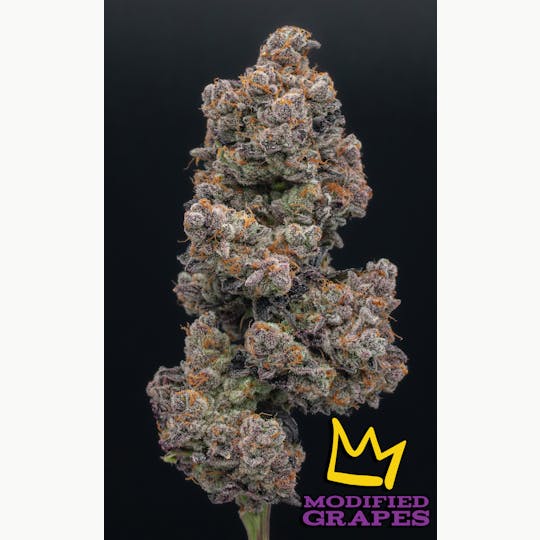 Green Dynasty - Modified grapes Exotic Flower Flower - 1