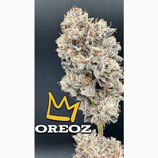 Green Dynasty - Oreoz Exotic Flower Flower - 1