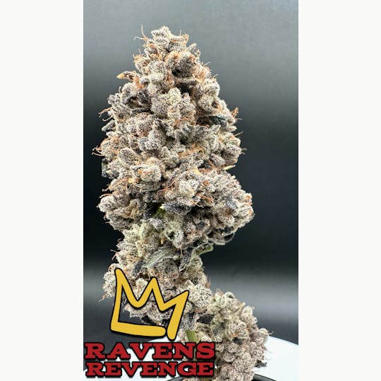 Green Dynasty - Ravens Revenge Exotic Flower Flower - 1