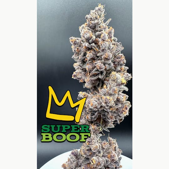 Green Dynasty - Super Boof Exotic Flower Flower - 1