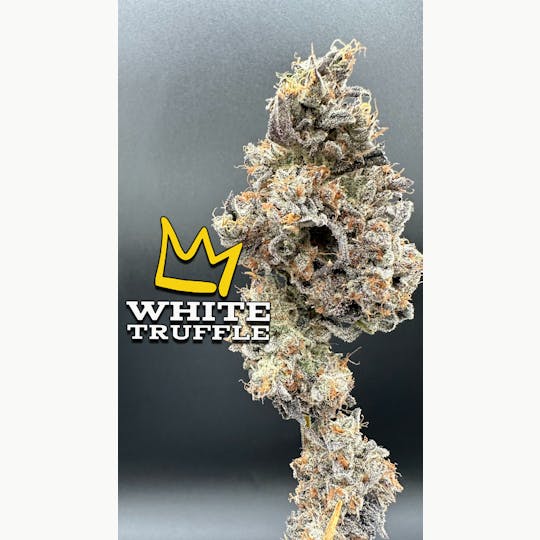 Green Dynasty - White Truffle Exotic Flower Flower - 1