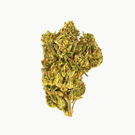 Smoakland - Black - Animal Cookies - 14g - 1