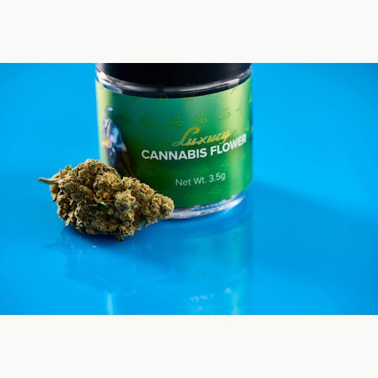 LP Exotics - LP Exotics Grapes 'n Cream 3.5g Flower - 1