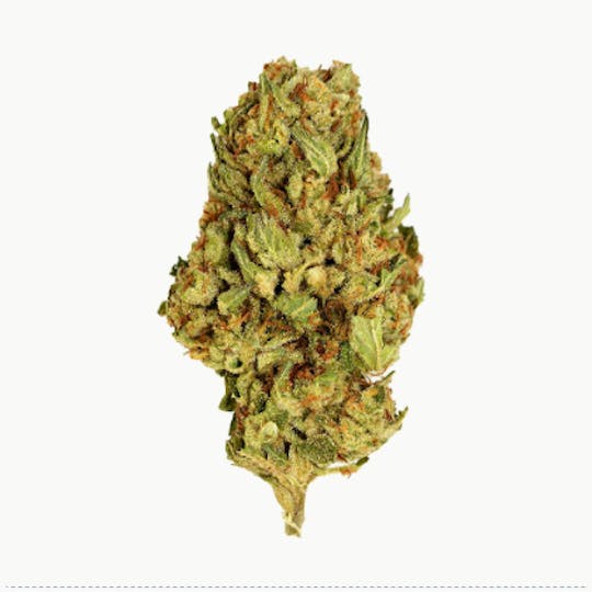 Smoakland - Black - Black Cherry Gelato (H) - 14g - 1