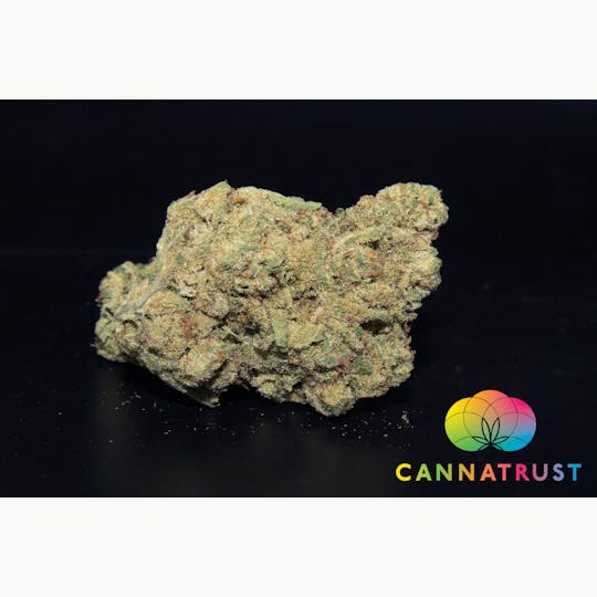 Trusty Transportations - Cheetah Piss 1 Gram(25%THC, Hybrid) - 1