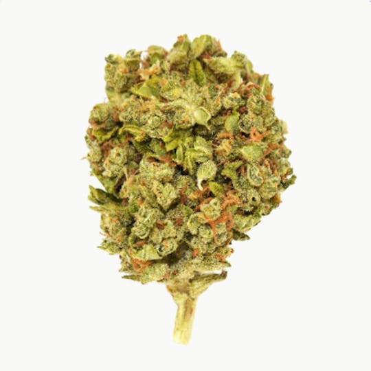 Smoakland - Xclusivez - Red Runtz (H) - 28g - 1