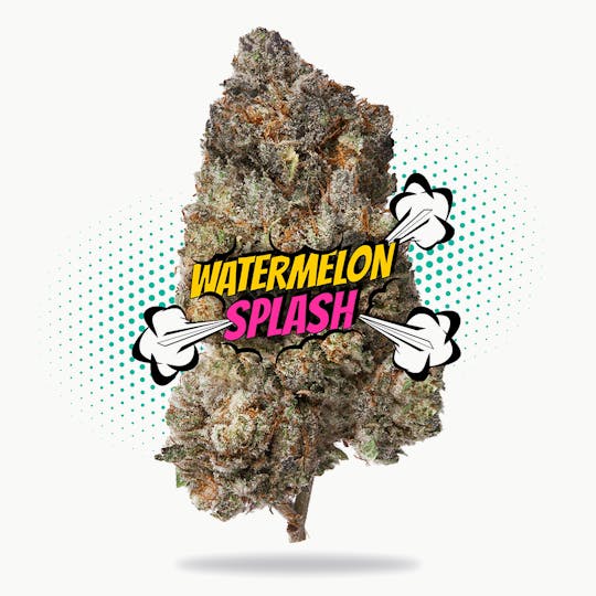Frostiez - Watermelon Splash - Topshelf Indoor - New Drop - Hybrid - 1
