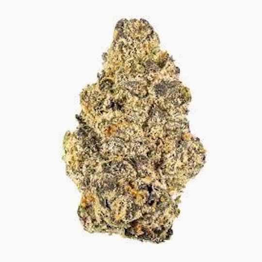 Cannafeen - RAINBOW RUNTZ - 1