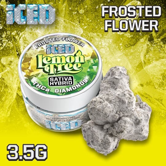 ICED - Jarred Infused Flower - 3.5g - Lemon Tree - 1