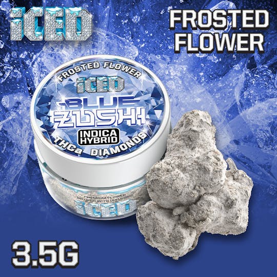 ICED - Jarred Infused Flower - 3.5g - Blue Zushi - 1