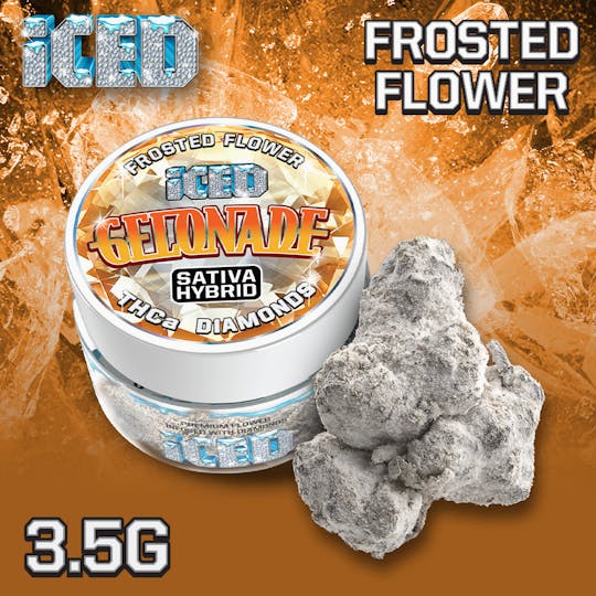 ICED - Jarred Infused Flower - 3.5g - Gelonade - 1