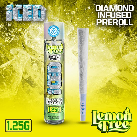 ICED - Infused Preroll - 1.25g - Lemon Tree - 1