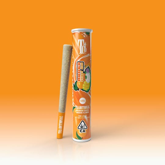 Traditional - Traditional - Mango Sticky Rice Pre-Roll 1G - 1