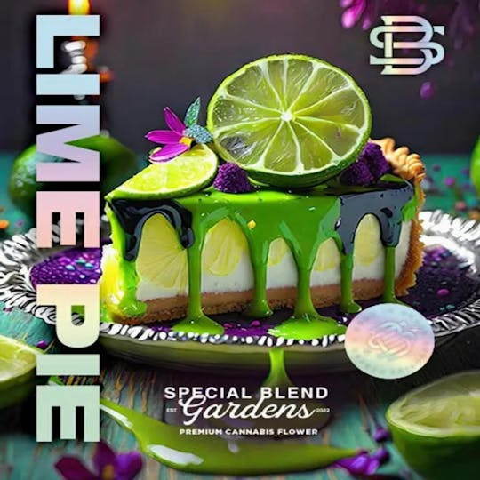 Special Blend Gardens - LIME PIE - 1